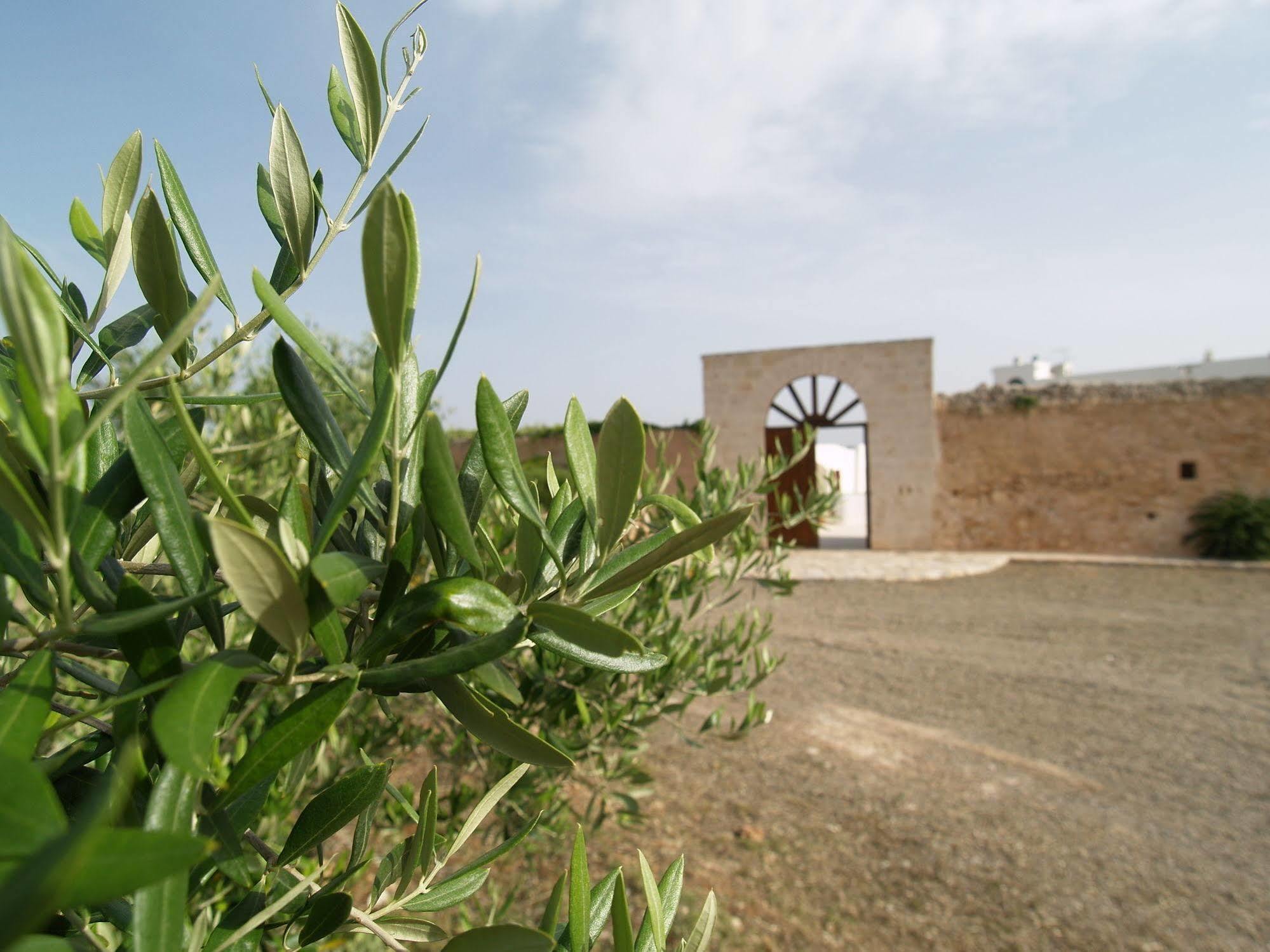 Hotel Masseria Tutosa Ostuni Zewnętrze zdjęcie